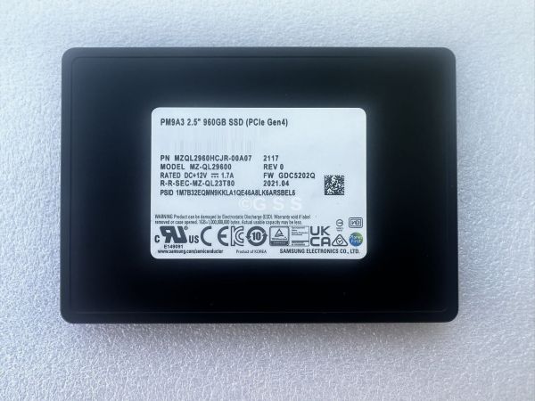 MZQL2960HCJR-00A07